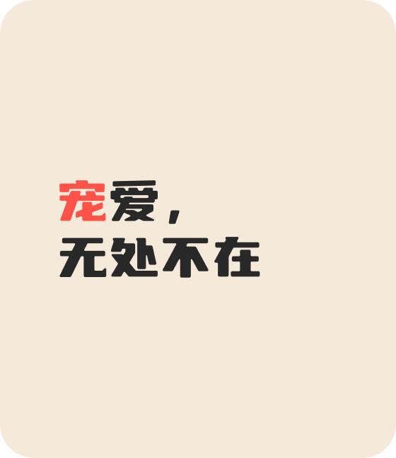 JJB竞技宝宠物，无处不在